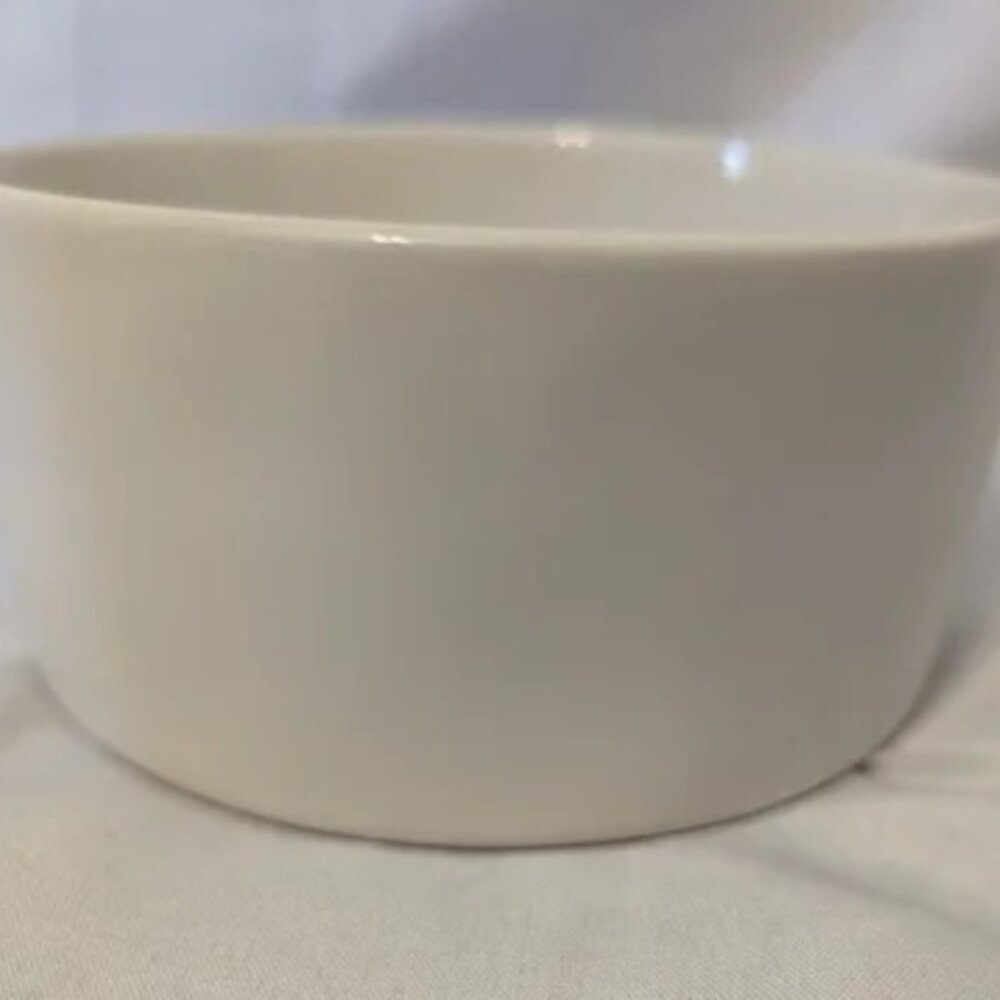 Brand New Rae Dunn 6" Drink Pet Bowl - Picture 3 of 4